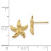 Black Bow Jewelry 13mm Polished Textured Starfish Post Earrings in 14k Yellow Gold - 4 of 4