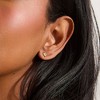 EVRY JEWELS WATERPROOF Gold or Silver Plated Stainless Steel North Star Crystal Studs - 2 of 4