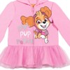 PAW Patrol Skye Toddler Girls Zip Up Costume Hoodie Pink 4T - 2 of 4