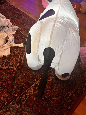 Guest review image 5 of 5, zoom in