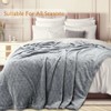 Aoibox Super Soft Cozy Fleece Throw Blanket, Lightweight Fuzzy Comfy Textured Flannel Warm Plush Blanket for Couch, Sofa, Bed, Home Decor, Light Grey - 3 of 4