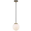 Z-Lite Parsons 1 - Light Pendant in  Matte Black/Olde Brass - 3 of 3