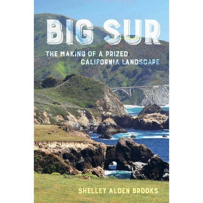 Big Sur - by  Shelley Alden Brooks (Paperback)