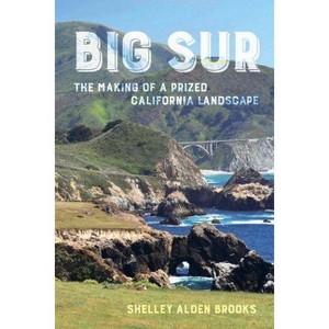 Big Sur - by  Shelley Alden Brooks (Paperback) - 1 of 1