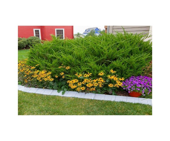 6" Outdoor Quick Curb Edging - Gray - Master Mark