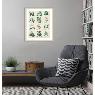Botanical Schema II Natural Wood Framed Wall Art Print