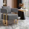 Modern Decorative 2PC Teddy Fleece Upholstered Side Chairs with Gold Metal Legs, Ergonomic Cushion, No Wheels, Suitable for Living Room - 2 of 4