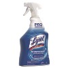 Professional Lysol Disinfectant Bathroom Cleaner  - 32 fl oz (Case of 12) - 3 of 4