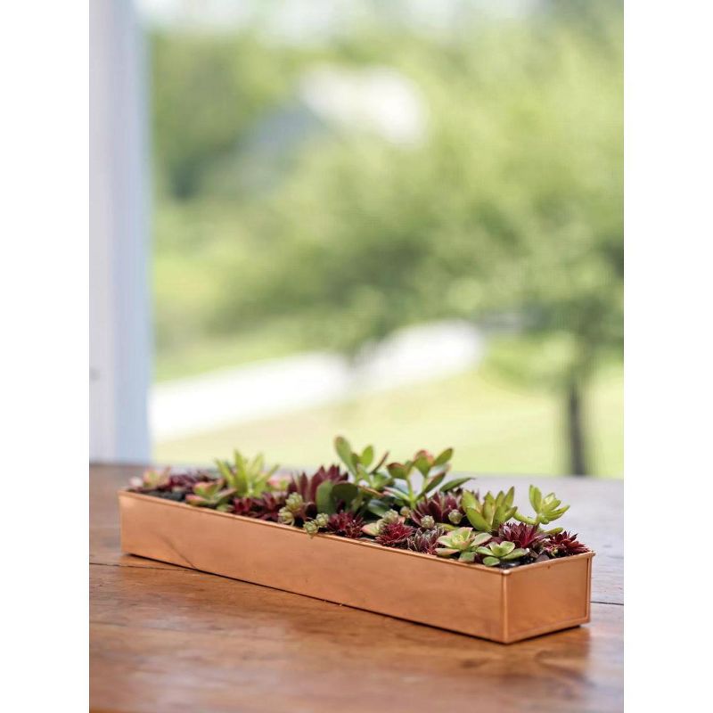 Gardener's Supply Company 18" Rectangular Copper Plant Tray | Watertight Elegant Planter for Indoor Outdoor Decor Plants, Herbs & Succulents | Durable, 1 of 5