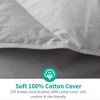 APSMILE All Season Cotton Comforter - 2 of 4