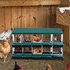GustoWave Nesting Boxes for Chickens, 6/8/10 Compartment Chicken Egg Laying Nest Box for Hens - 4 of 4