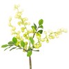 Allstate Floral 21" Ivory Green Spring Berry Artificial Silk Floral Spray - image 3 of 4