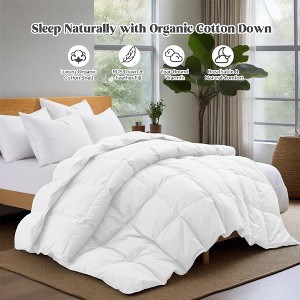 Puredown All Season Organic Cotton Down Comforter - 100% Natural, Chemical-Free, Medium Warmth Duvet Insert - 1 of 4