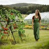 Cucumber Trellis, 4ftx 4ft Metal A-Frame Garden Trellis Climbing Plant Outdoor Support Fruit Grape Vine Vegetable Tomato Pea - 4 of 4