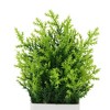 Unique Bargains Artificial Plants Pine Needles in Square Pot Plastic Green 2.76"x2.76"x7.87" 1 Pc - 4 of 4