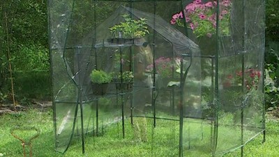 Clear PVC Walk-In Greenhouse with 4 Steel Shelves