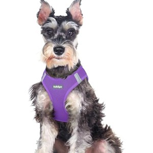 rabbitgoo Small Dog Harness, Step-in Soft Mesh Puppy Vest with Safety Buckle, Breathable Reflective Pet Harness for Large Dogs, Purple XXL - 1 of 1