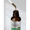 Horbaach Goldenseal Root Liquid Extract | 1 fl oz - image 3 of 3