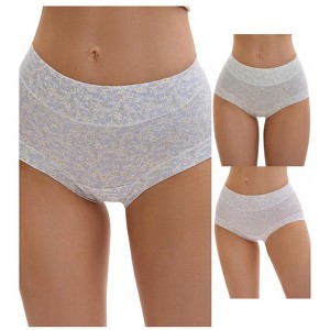 INSPIRE CHIC 3 Packs Women's Cotton Floral Printed High Waisted Full Coverage Tummy Underwear - 1 of 4