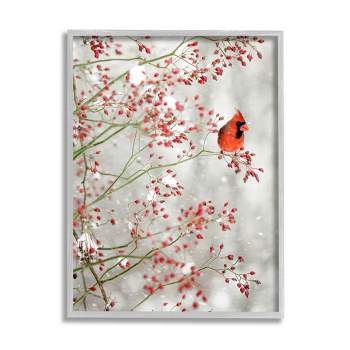 Stupell Industries Cardinal Seasonal Holly Berries Framed Giclee Art