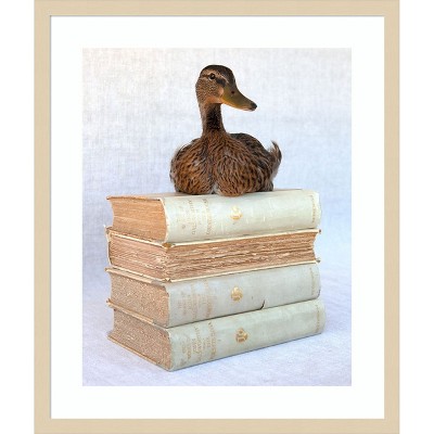 Amanti Art Tania Soderman Books I by Tania Soderman Wood Framed Wall Art Print