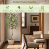4FT-7FT Faux Olive Tree with Green Leaves and Big Fruits for Indoor and Outdoor - 2 of 4