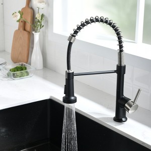 Purifier Kitchen Faucet with Roll-Up Dish Drying Rack, Matte Black - 1 of 4