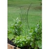 Gardener's Supply Company Decorative Metal Pot Trellis | Powder-Coated Steel Stands 50 Inches High For Climbing & Vining Plants & Flowers - 4 of 4