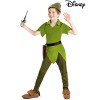 HalloweenCostumes.com Kid's Disney Peter Pan Costume | Disney Costumes - 2 of 4