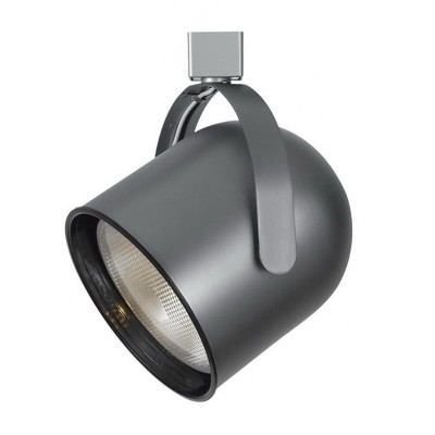 Cal Lighting LINE Voltage,Integrated Wire,PAR38