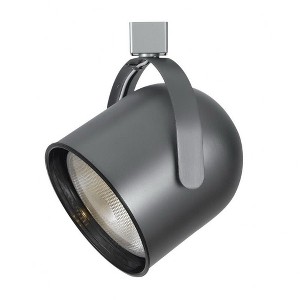 Cal Lighting LINE Voltage,Integrated Wire,PAR38 - 1 of 2