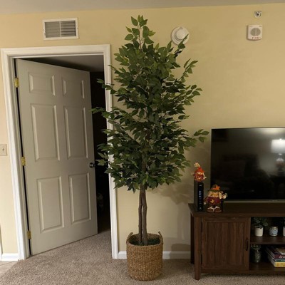 Guest review image 1 of 1, zoom in