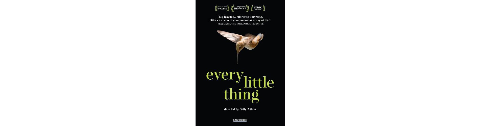 Every Little Thing (DVD)(2025)