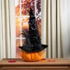 The Lakeside Collection Witch Hat - 3 of 4