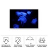 Trademark Fine Art - Jan Matussik Deep Sea Ballerina Matted Framed Art - 4 of 4