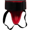 Title Boxing Classic Plus Groin Protector 2.0 - Xl - Red/black : Target