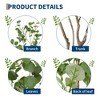Coucheta 4/5/6/7ft Artificial Eucalyptus Tree in Pot, Large Faux Potted Plant with Realistic Trunk for Indoor Outdoor, Home Office Living Room Decor - 4 of 4