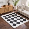 Hauteloom Zahur Black & White Diamond Area Rug - 2 of 4