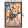 Trends International The Comedy Wildlife Photography Awards: Lara Mathews - Boing Framed Wall Poster Prints - 3 of 4