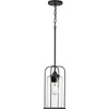 Progress Lighting, Watch Hill Collection, 1-Light, Hanging Pendant Lantern, Textured Black, Clear Seeded Glass Shade - 2 of 2