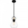 Quoizel Lighting 1 - Light Pendant in  Matte Black - 4 of 4
