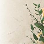 brushed bright nickel