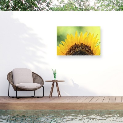 Trademark Fine Art - Beata Czyzowska Young Sunflower 2 Matted Framed Art