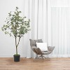 Artificial Eucalyptus Tree with Pot, Environmentally Friendly, No Maintenance,  Realistic Silk Leaves, Perfect for Indoor/Outdoor Decor - 2 of 4