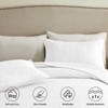 Inhand Microfiber Quilt Bedding Set, Soft Lightweight Coverlet For All Season - 4 of 4