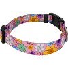 Country Brook Petz Deluxe Dog Collar - Floral Collection - 3 of 4