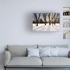 Trademark Fine Art - Alan Blaustein Hokkaido Landscape No11 Canvas Art - 2 of 4