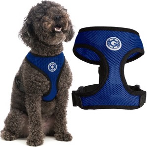 Gooby Soft Mesh Harness, Small Dog Harness with Breathable Mesh, Blue, Large - 1 of 1