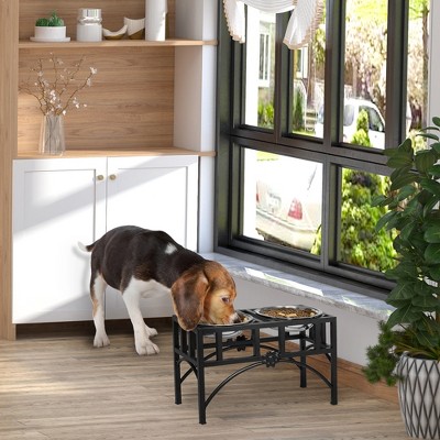 Elevated Double Stainless Steel Pet Feeding Station with Iron Frame