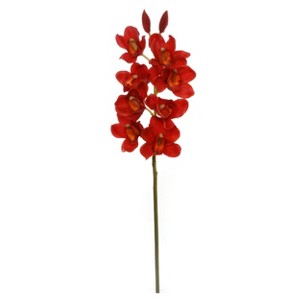 Floral Home 30" Red Cymbidium Stem - 12-Piece - 1 of 2